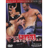 Down Right Dangerous DVD (Raging Stallion) (07033D)