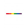 Rainbow Pride Aufkleber / Sticker 0,6 x 9,5cm / 0.25 x 3.5 inch (T1039)