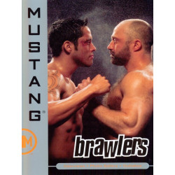 Brawlers DVD (Mustang / Falcon) (02521D)