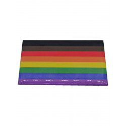 Rainbow POC Flag Magnet (T5834)