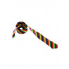 Rainbow Tie / Krawatte (T6317)