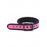 Rude Rider Neoprene Puppy Collar Pink (T7470)