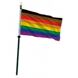 POC Rainbow Hand Flag / Handflagge (T5847)