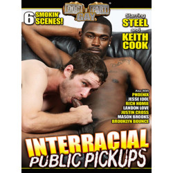 Interracial Public Pickups #1 DVD (Dog Fart Gay) (19101D)