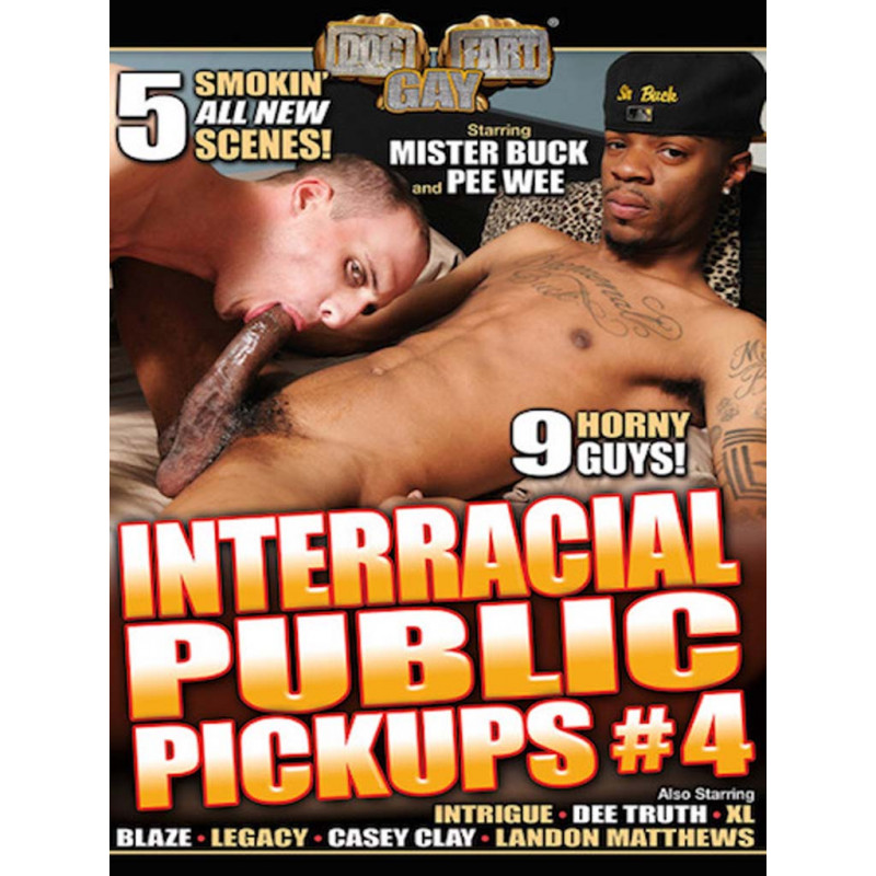 Interracial Public Pickups #4 DVD (Dog Fart Gay) (19104D) Interracial Public Pickups #4 DVD (Dog Fart Gay) (19104D)