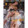 Swallowing Big Dick DVD (Boynapped) (19426D)