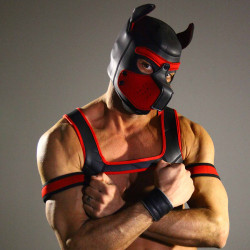 Rude Rider Neoprene Puppy Hood Red (T7273)