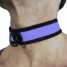 Rude Rider Neoprene Puppy Collar Blue (T7269)