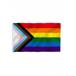 Progress Rainbow Flag / Progress Regenbogenflagge 90 x 150 cm (T8420)