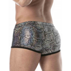 ToF Paris Splendid Swim Trunk Swimwear Silver (T9087)