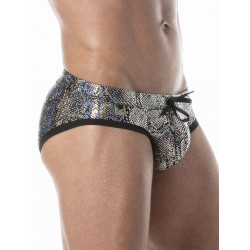 ToF Paris Splendid Swim Brief Swimwear Silver (T9090)