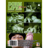 Dorm Life #19 DVD (FlavaWorks) (22833D)