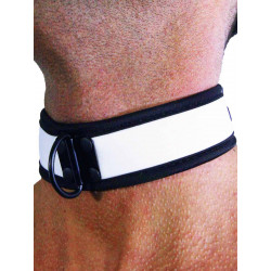 Rude Rider Neoprene Puppy Collar White (T7268)