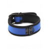 Rude Rider Neoprene Puppy Collar Blue (T7269)
