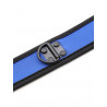 Rude Rider Neoprene Puppy Collar Blue (T7269)