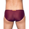 2Eros Core Swim Brief V10 Tawny Port (Series 2) (T9396)