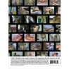 Old Reliable Vol. 13-16 4-DVD-Box (Dragon Media) (23405D)