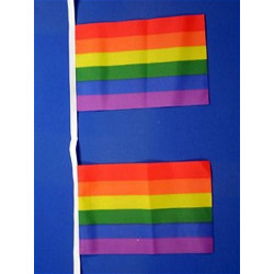 Gay Pride Flag-Chain Rainbow 9 m (T1264)