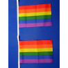 Gay Pride Flag-Chain Rainbow 9 m (T1264)