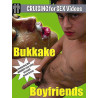 Bukkake Boyfriends DVD (Freshwave) (09868D)
