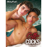 Coffee & Cocks 5 DVD (BoyFun) (26789D)