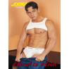 Hard to Hold DVD (Jocks (Falcon)) (01172D)