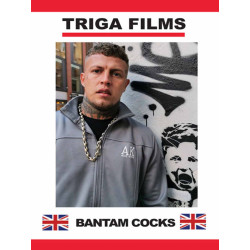 Bantam Cocks DVD (Triga) (23888D)