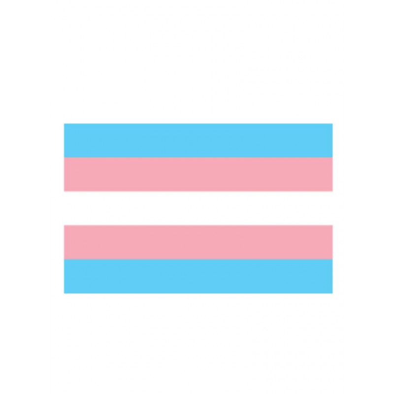 Trans Flag Aufkleber / Sticker 5.0 x 7,6 cm / 2 x 3 inch (T4731)