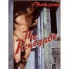 The Renegade DVD (Falcon) (03633D)