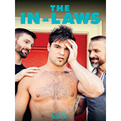 The In-Laws DVD (MenCom) (13328D)