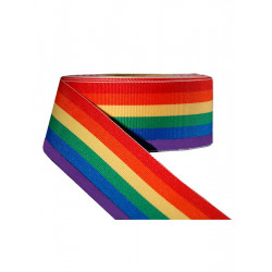 Rainbow Ribbon 7/8inch / 22mm wide 10m (T1534)