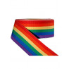 Rainbow Ribbon 5/8inch / 16mm wide 100m (T1537)