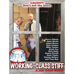 Working-Class Stiff DVD (Joe Gage) (12127D)