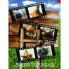 Lederhosenbuam #06 DVD (Lederhosenbuam) (02169D)