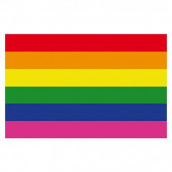 Rainbow Magnet Gay Pride flexible 4,5 x 7 cm (T0147)