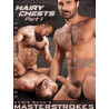 Hairy Chest 1  (Masterstrokes #6) DVD (Raging Stallion) (08140D)