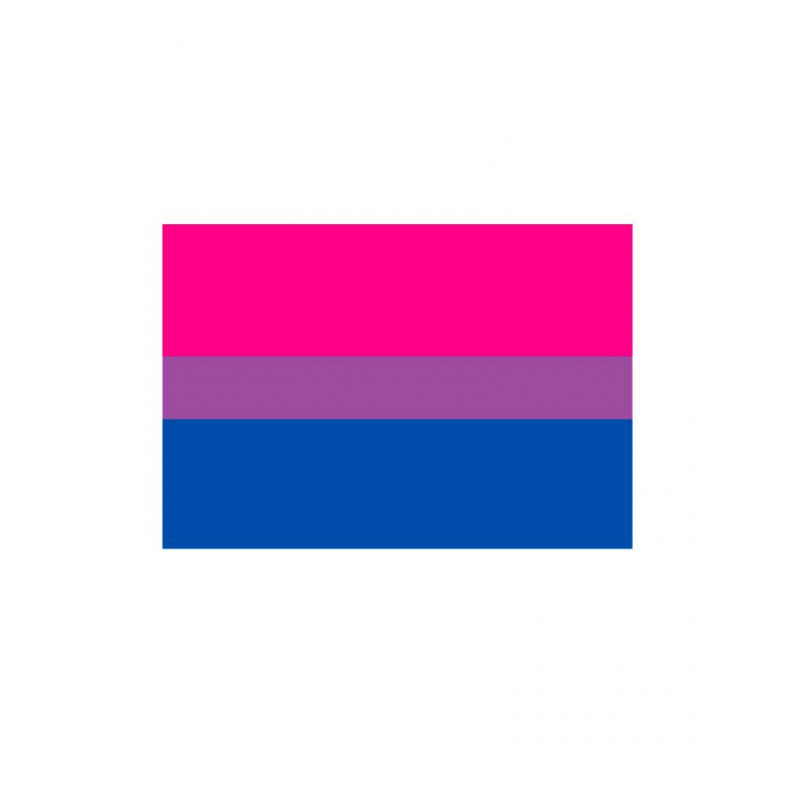 Bisexual Flag Magnet (T5130)