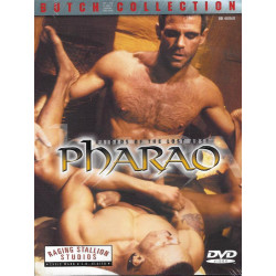 Raiders of the Lost Arse - Pharao DVD (Raging Stallion) (10360D)
