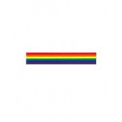 Rainbow Aufkleber / Sticker 2,54 x 25,4 cm / 1 x 10 inch (T5194)