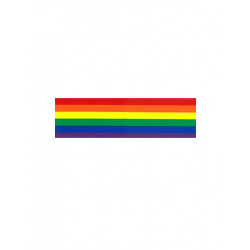 Rainbow Aufkleber / Sticker 4,50 x 25,4 cm / 2 x 10 inch (T5195)