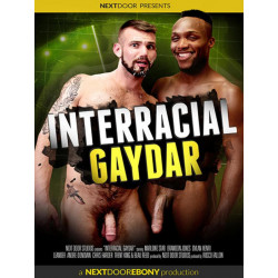 Interracial Gaydar DVD (Next Door Studios) (15313D)
