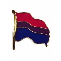 Pin Waving Bi Flag (T5223)