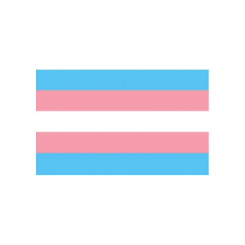 Trans Flag Aufkleber / Sticker 5.0 x 7,6 cm (T5204)