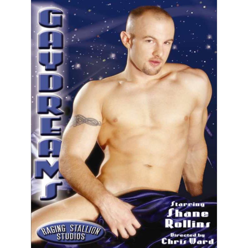 Gay Dreams DVD (Raging Stallion) (12171D)